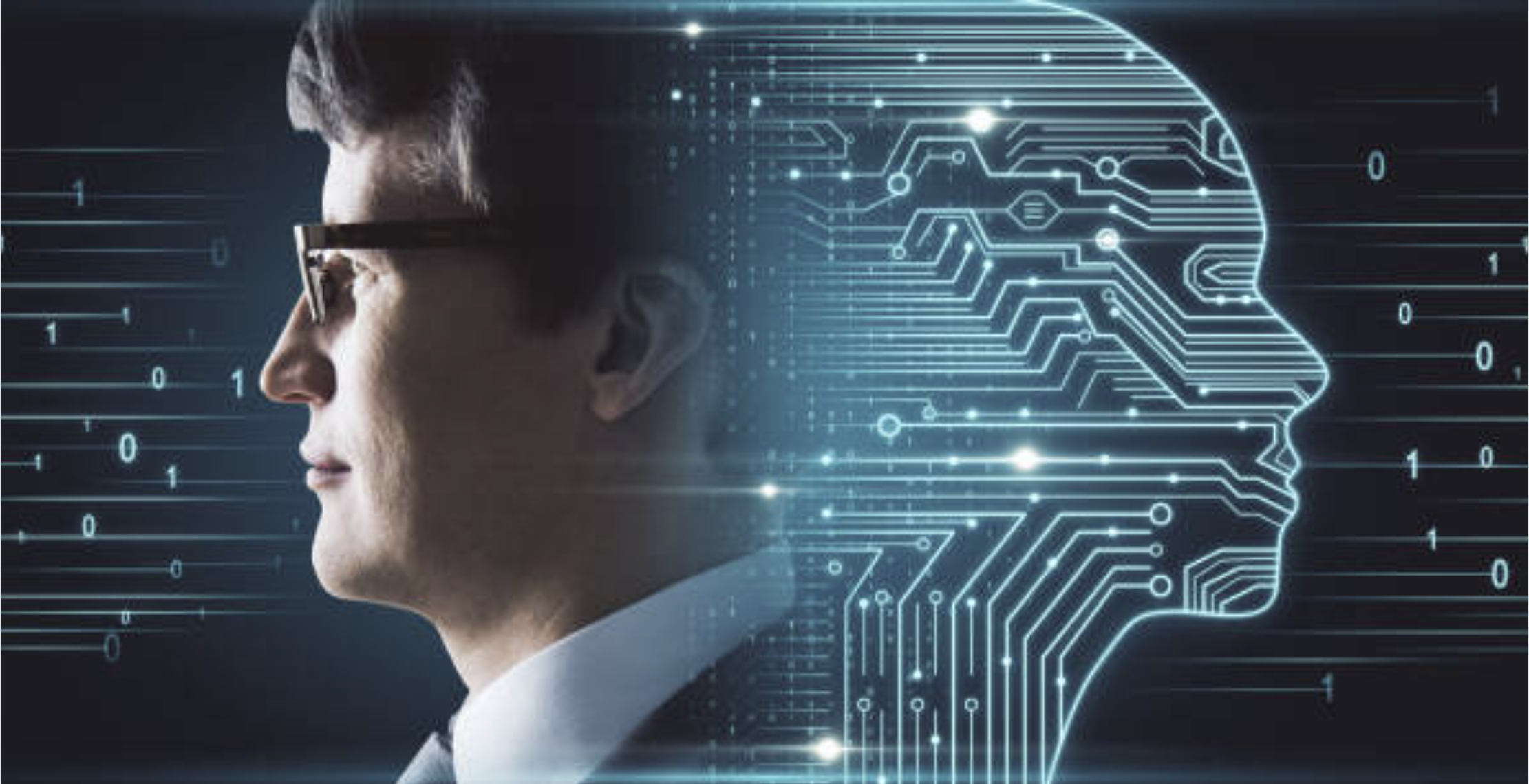 Der Mensch und seine Parallelen zur Software